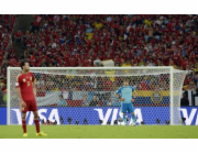 Síť YakimaSport Goal 7,32 x 2,44 m - voštinová