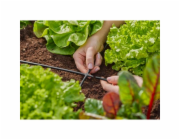  "Micro-Drip-System příčný kus 4,6 mm (3/16"), připojení"