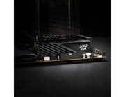 ADATA DIMM 32 GB DDR5-5600 (2x 16 GB) duální sada, RAM