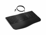 HP 485 Comfort - Klávesnice - více zařízení, 23 programovatelných kláves, rozložení ve 3 zónách - full size - USB - česká/slovenská - černá