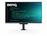 BENQ DISPLAY RD320UA METALLIC GREY