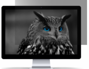 Privátní filtr Natec OWL 16" 16:10