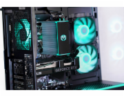 Actina 5901443383642 PC AMD Ryzen 5 5600X 32 GB DDR4-SDRAM 1 TB SSD NVIDIA GeForce RTX 4060 Midi Tower Černá