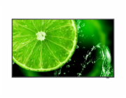 SHARP/NEC LFD 32" MultiSync E328-2, IPS, 1920x1080, 400nit, 1100:1, 8ms, 16/7, VGA, HDMI, LAN, RS232, USB, Mediaplayer
