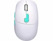 DEFENDER NITTA MM-307 RF+BT OPTIC 1600dpi 6P BÍLÁ POČÍTAČOVÁ MYŠ