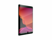 IS Glass Elite VisionGuard iPad 10.2"