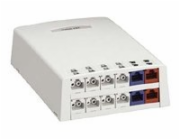 Panduit MINI-COM Multi-Media/Fiber Surface Mount Box - Krabice k upevnění na povrch - arktická bílá - 12 portů