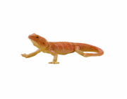 Mojo Agama