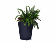 Květináč Keter Rattan Planter S 23,6 l grafitový
