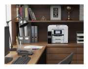 Epson EcoTank Pro ET-5885, C11CJ28405
