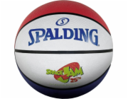 Basketbal Spalding Spalding Space Jam 25. výročí 84687Z 7