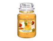 Svíčka Yankee Candle Classic velká, Calamansi Cocktail, Calamansi koktejl, 623 g