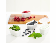 ROTHO Freeze - nádoba na zmrazování - 4x500ml