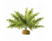 Hagen HAG.ROSL.D/TERRAR.BOSTON GERN 22CM 2990 - 58780