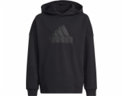 Mikina Adidas adidas FI Logo HD Jr HR6301