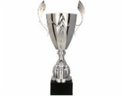 Kovový pohár Triumph Gold s víčkem 4127/DP