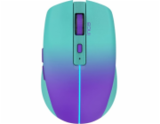 Myš Triton Inca IWM-511RM pravá strana RF bezdrátová + Bluetooth + USB Type-C optická 1600 DPI