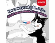 PURINA Felix Deli Moments Salmon - pamlsek pro kočky - 4x10g