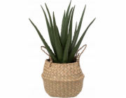 Atmosphera Umělá rostlina ALOE v košíku 37 cm