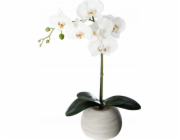 Atmosphera Květinová výzdoba "Cement touch" - orchidej s keramickým květináčem, výška 50 cm
