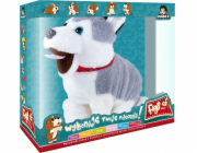 Teka Pohyb a zvuk Dog Figo