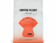 Coffee Plant Kávová rostlina FLOW Juicy Fruit 250g kávová zrna