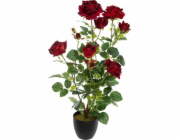 Atmosphera Umělá rostlina v květináči růžový keř, 74 cm, červená