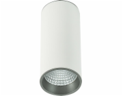 Italux Moldes Big WH/GR Stropní svítidlo 3000K SLC7392/12W 3000K WH+GR