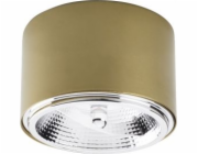 Stropní svítidlo TK Lighting Spot MORIS 3349