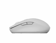 CANYON mouse MW-12 Dual band Wireless Beige