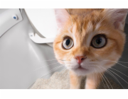 Catlink Scooper Pro Ultra inteligentní samočistící box na kočky