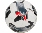 Puma Fotbal Puma Orbita 1 TB FIFA Quality Pro bílo-šedá 84322 02 5