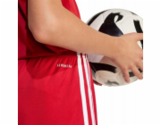 Adidas Kraťasy SQUADRA 25 JN5456