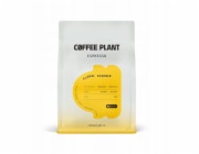 Coffee Plant KÁVOVÁ ROSTLINA - Květinová esence Espresso 250g