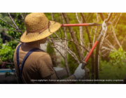 Fiskars S112580 Nůžky na větve, převodové, jednočepelové