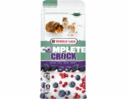 VERSELE LAGA Complete Crock Berry - pamlsek pro hlodavce - 50g