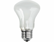 Elinchrom Einstelllicht 196V/100W E 27