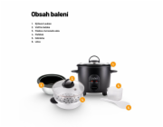 Lauben Rice Cooker 600BC