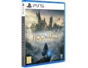 HRA PS5 Hogwarts Legacy