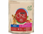 PURINA One Mini Adult Beef Rice - Suché krmivo pro psy - 800 g