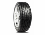 ZIMNÍ PODRÁŽKA 225/45R17 MALATESTA T M79T 94V