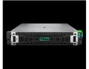HPE PL DL345g11 AMD Epyc 9115 (2.6G/16C) 2x32G (P64985) 2x960G 2x1000W MR416i-p 8LFF 4p1G Arm Smart Choice