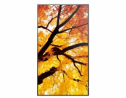 50" LED SHARP M502,3840x2160,24/7