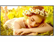 LG Electronics 43UL5Q-E 500cd/m2 UHD velkoformátový monitor s nepřetržitým provozem 24 hodin denně, 7 dní v týdnu