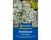 Kiepenkerl Alyssum "Sněhový koberec"