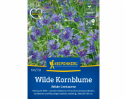Kiepenkerl Divoká chrpa "Centaurea cyanus" Centaurea cyanus