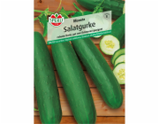 Sperli salátová okurka "Moneta"