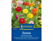 Kiepenkerl Zinnia Espana Mix