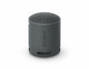 SONY SRS-XB100B
