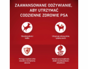 PURINA One Sensitive Mini/Small Salmon with rice - suché krmivo pro psy - 1,5kg